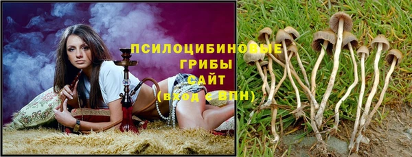 ешки Новодвинск