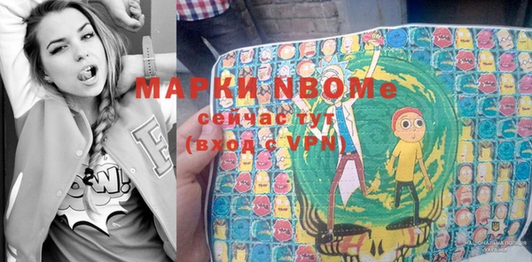 сатива Белоозёрский