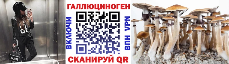 купить  сайты  blacksprut как зайти  Галлюциногенные грибы Psilocybe  Торопец 